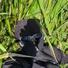 master_008_