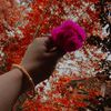 nksunshine00