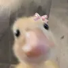 7llix78