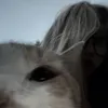movuww