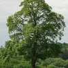 pavelvoznyuk13