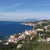 dariodibalsamo