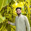 farazahmed524
