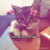 babimukbang