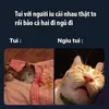 akakakakkajejejej