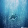 sabib_fco