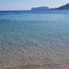 emanuelamura75
