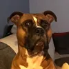 remcomvd87