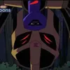 roseus_arachnia