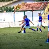 marciofaveroolive