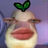 .silvaxxxpvd