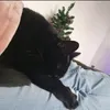 mistyetluna
