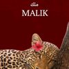 malakmohamed57123