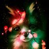 rayne420wolf