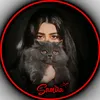 s.r_afg13