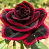 saeb.taha2