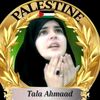 talaahmad8274