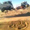 walied882