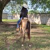 guillen_emi5