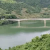 binhmigdb