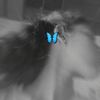 _b_i_m_a_23