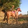🙆‍♂️🐴Ngwe Min Thar🐴🙆‍♂️