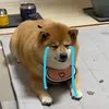 oeht_ttr