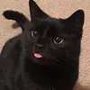 latmmyluv