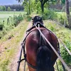 mariechen935