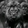 almndlauy