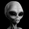 eyckhead