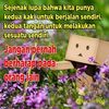 sitihusnah844
