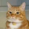 xxxnxuwn9