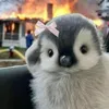 okaylatsgowr