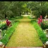 kamran543267