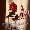 usergqp85cbp3k