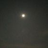 anotherfaya1