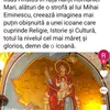 dumitrustefan118