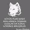 elnur__85
