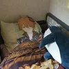 purrpussyc4t