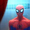 spidermeng8eii2