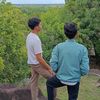 ahmadfauzi57538