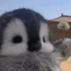 nonanga