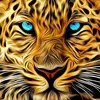 11_love_animals_11