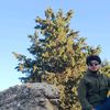 rzg_lamnfi