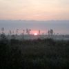 fl_native68