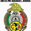 robertocruz8313
