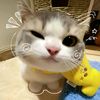 miiiaaauww