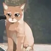 shinjiwyt