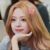 họ Do tên Chòn 🐰